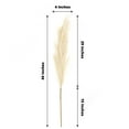 thumbnail image 6 of Efavormart 3 Stems | 44" Cream Artificial Pampas Grass Plant Sprays, Faux Branches Vase Flower Arrangement, 6 of 10