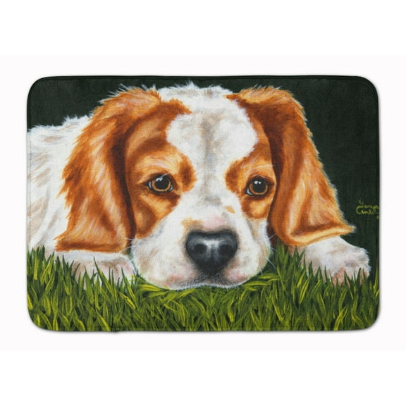 Carolines Treasures AMB1395RUG Cavalier Spaniel in the Grass Machine Washable Memory Foam Mat 19 X 27" multicolor