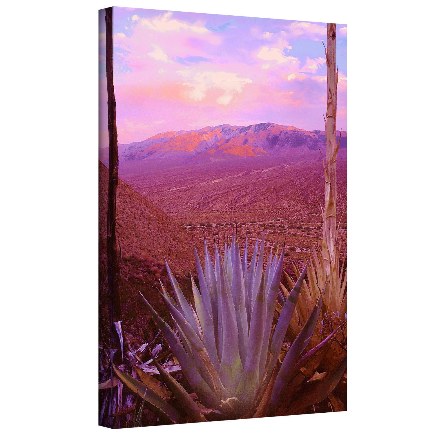 Dean Uhlinger "Desert Cycle" Gallery-Wrapped Canvas