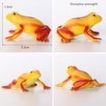 thumbnail image 2 of POINTERTECK Ensemble de 12 Pcs Modèle de Grenouille Tropicale Simulée en PVC, Jouet Grenouille, Cadeaux pour Enfants, Jeunes Enfants, Étudiants, 2 of 6