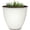 Champagne, variant on 14" BRZ Dunbar Planter
