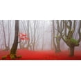 thumbnail image 2 of Palacios, J.A. 24x14 Black Ornate Wood Framed with Double Matting Museum Art Print Titled - Red forest leaves 828, 2 of 4