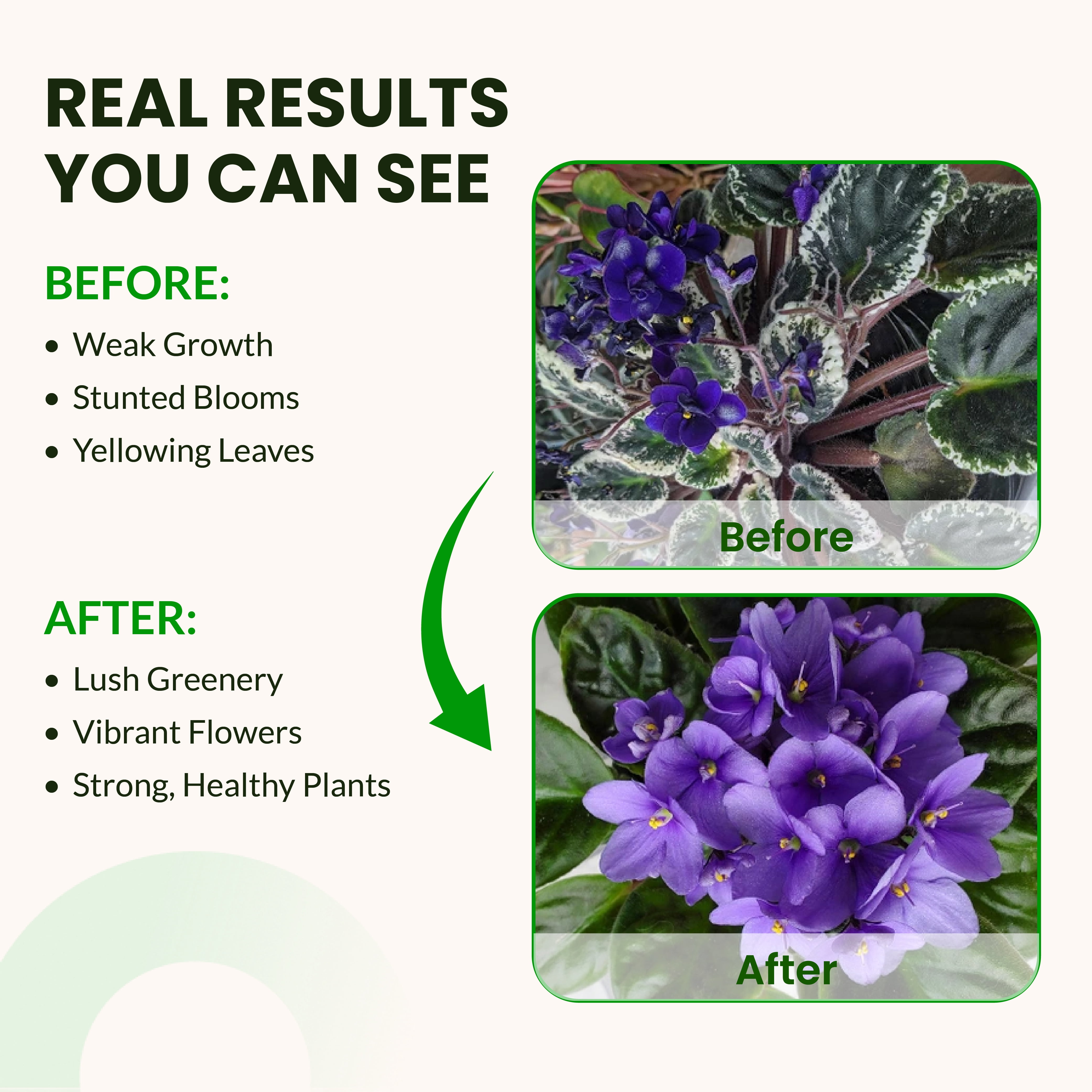 Humboldts Secret Base A & B Liquid Hydroponic Fertilizer | Complete Hydroponic Nutrients for Indoor and Outdoor Plants | Supports Healthy Vegetative Growth and Flowering Stage | 32 Ounce Set