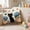 Black313, variant on Tuvgenk Cat Throw Pillow Covers Square Black 18x18 in Comfort Spring Pillow Covers Animals Durable Decorative Couch Cushion Covers with Zipper