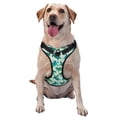 thumbnail image 1 of Saiise Green Sea Turtle Print Dog Harness and Leash Set, No Pull Soft Mesh Pet Harness, Reflective Adjustable Puppy Vest for Small Medium Large Dogs, Cats-Large, 1 of 6