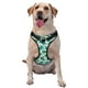 thumbnail image 1 of Balery Green Sea Turtle Arnés para Perros Grandes Antitirones, Arnés con Correa para Gato, Arnés Tipo Chaleco para Perros Pequeños-Medium, 1 of 6