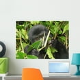 thumbnail image 1 of Eastern Mountain Gorilla Wall Mural Decal by Wallmonkeys Vinyl Peel and Stick Graphic (24 in W x 17 in H), 1 of 4