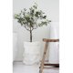 thumbnail image 4 of Bolsa de Papel Blanca Decorativa Reutilizable Ecológica Organizador de Contenedores Contenedor de Almacenamiento de Alimentos Y Almuerzos Cubier 20x20x35cm DYNWAVEMX Envase de la bolsa de la planta, 4 of 8