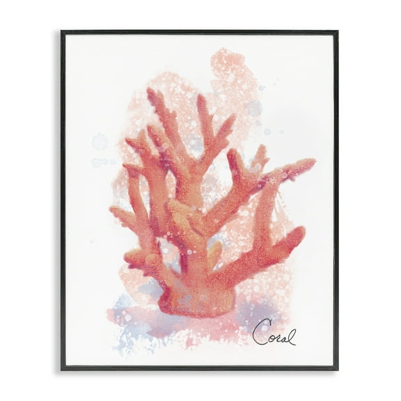 Stupell Industries Peach Coastal Coral Black Framed Giclee Art design by Matthew Piotrowicz, 14 x 11