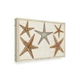 thumbnail image 2 of Trademark Fine Art 'Starfish Naturelle I' Canvas Art by Denis Diderot, 2 of 4