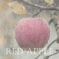 thumbnail image 2 of Lewis, Sheldon 15x15 Gold Ornate Wood Framed with Double Matting Museum Art Print Titled - Apple, 2 of 4
