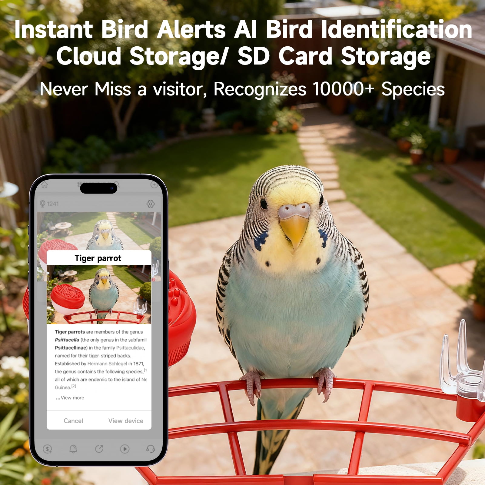 Smart Bird Feeder with Camera & AI Identification, 2.4GHz WiFi Solar Powered Outdoor Bird Feeder with Cam, 2K Live View, Instant Arrival Alerts