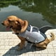 thumbnail image 2 of Tomshoo Chalecos salvavidas, Conservador de trajes de baño Agua mascota tiburón traje de baño chaleco de baño en piscina seguridad del agua en traje de baño Siuke Zdhf Pet Sty traje de baño, 2 of 8