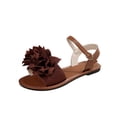 thumbnail image 2 of Women's Fashionable Summer Floral Pointed Toe Flat Sandals-Solid Color Flower Casual Slippers Brown 43, 2 of 9
