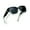 Gradient Green Frame/Grey Lens, variant on Joopin Polarized Sunglasses Over Glasses for Women Men, Fit Over Glasses Sunglasses with Square Oversized UV Protection