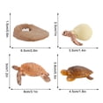 thumbnail image 3 of Plastic Animals Figures 4 Piece Insect Figure Animal Life Cycle Plastic Brood to Mature Period, 3 of 3