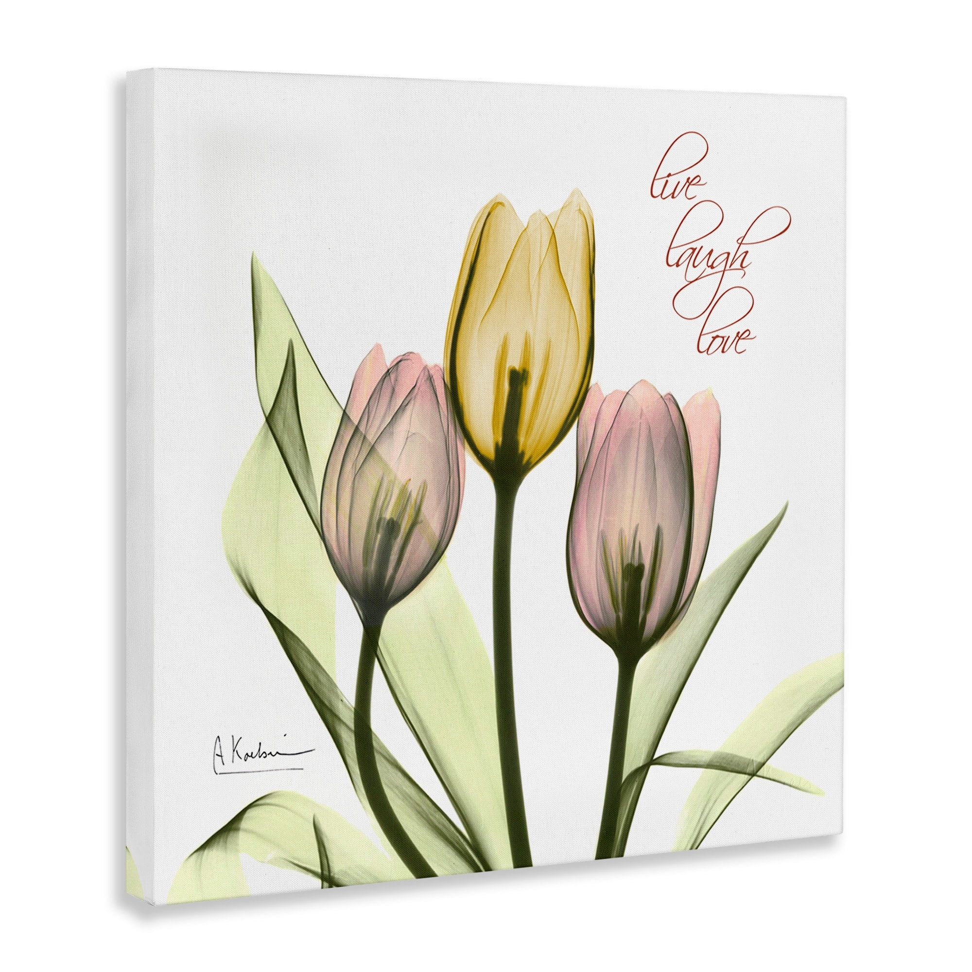 Live Laugh Love Phrase Yellow Pink Tulip Florals Botanical & Floral Gallery-Wrapped Canvas Print Wall Art, 17x17