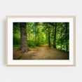 thumbnail image 2 of High Park - Toronto Ontario Canada Photography Unframed Wall Art Print 5 x 7 inches, 2 of 7