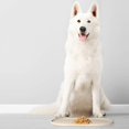 thumbnail image 5 of DogBuddy Dog Food Mat - Waterproof Dog Bowl Mat, Silicone Dog Mat for Food and Water, Pet Food Mat with Edges, Nonslip Dog Feeding Mat, Dog Food Mats for Floors (Large, White Sand), 5 of 8