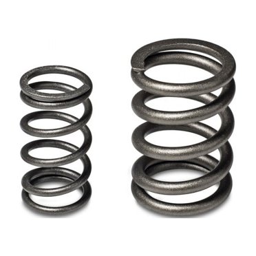 Skunk2 Tuner Series Honda/Acura (B16A/ B17A/ B18C) DOHC VTEC Alpha Valve Spring Set (Dual Springs) main image 1
