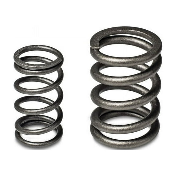 Skunk2 Tuner Series Honda/Acura (B16A/ B17A/ B18C) DOHC VTEC Alpha Valve Spring Set (Dual Springs) Fits select: 1992-1996,2000-2001 ACURA INTEGRA LS