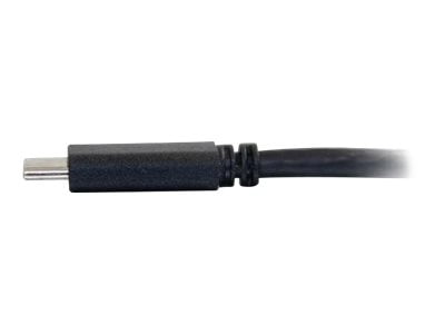 C2G 26899C2G 1ft USB-C to DisplayPort Adapter Cable - 4K 30Hz - M/M