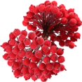 thumbnail image 1 of Bayas artificiales de acebo de doble cabeza para decoración de fiesta, miniestambre de cereza de simulación, esmerilada, para boda y Navidad, 100/20 piezas, 1 of 4