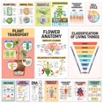 thumbnail image 1 of Set de pósters Decorably Biology, 16 unidades, 28 x 43 cm, mate, 1 of 9