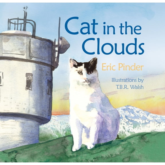 Pre-Owned Cat in the Clouds, (Hardcover)