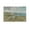 Unframe-style, variant on Painter William Merritt Chase Idle Hours Poster Posters Art Print Wall Photo Paint Poster Hanging Picture Family Bedroom Decor Gift 20x30inch(50x75cm)