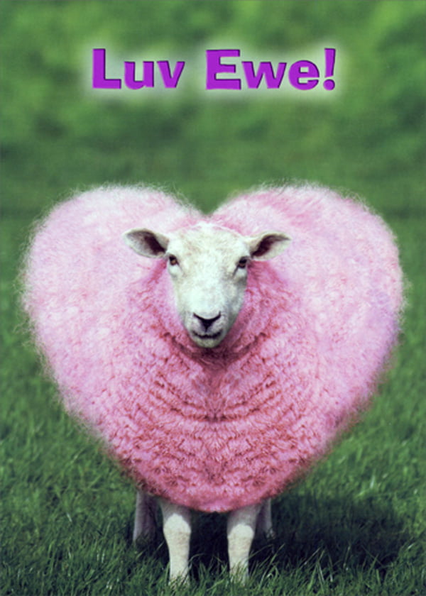 Greeting Valentine Car Sheep Blank Inside WOOL EWE BE MY VALENTINE? 