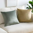 thumbnail image 3 of Dtwnek Set of 2 Comfy Soft Velvet Throw Pillow Cases with Zipper, Decorative Solid Square Cushion Covers for Bedroom Car Living Room, 16x16inch, 3 of 7