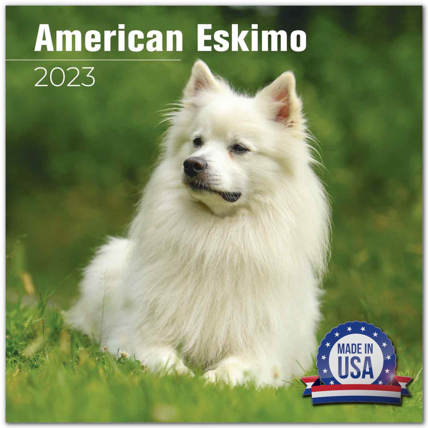 Can I Give My American Eskimo Dog Fish Oil For Humans