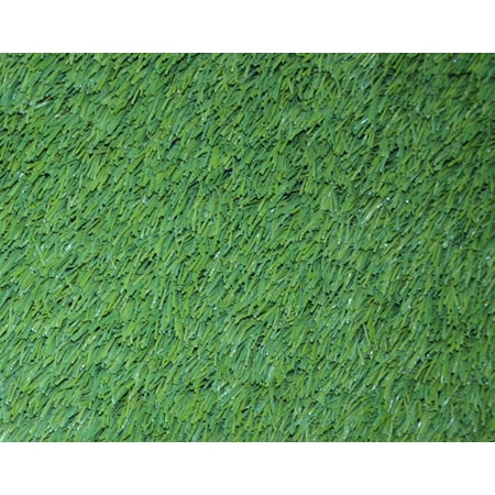 Dean Premium Heavy Duty Indoor/Outdoor Green Artificial Long Grass Field Turf Carpet Rug/Putting Green/Dog Mat, Size: 4' x