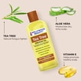 thumbnail image 3 of Hollywood Beauty Tea Tree Premium Oil for Hair, Scalp, and Skin, 8 fl oz, 3 of 7