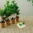 thumbnail image 4 of OULII Wood Desktop Organizer Planter Design Homeowners 1Pcs, 4 of 8