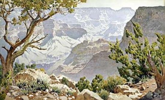 Grand Canyon Canvas