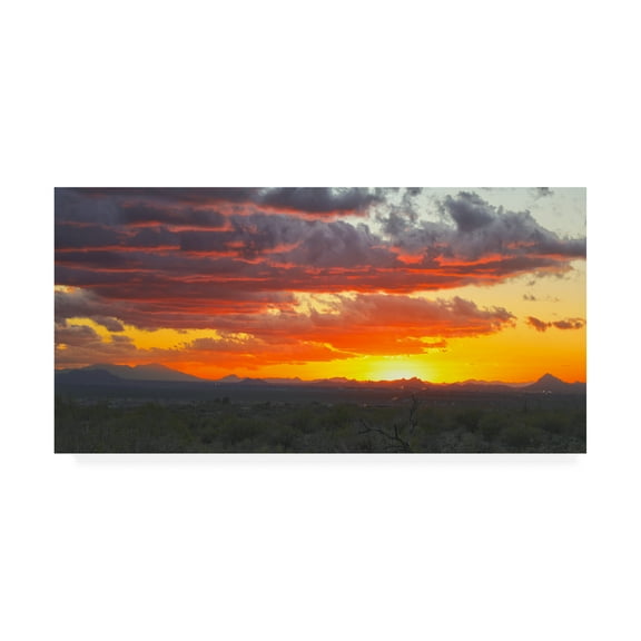 Trademark Fine Art 'Sonoran Desert Sunset' Canvas Art by Mitch Catanzaro