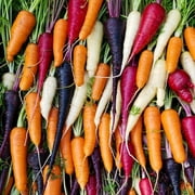 Rainbow Blend Carrot Seeds for Planting (300 Seeds) - Colorful Blend of Exotic Colored Carrots. Edible Vegetables. Made in USA