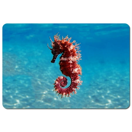 

Mediterranean Seahorse (Placemat)