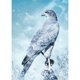 thumbnail image 1 of Taladro Pintura Diamante (DF3872) 5D DIY Águila Completa Punto de Cruz Mosaico Kit Decoración de Pared 45x60cm Hugtrwg Para estrenar, 1 of 1
