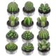 thumbnail image 1 of 12 velas con forma de cactus, velas artificiales con forma de plantas suculentas, para el Día de San Valentín., 1 of 3