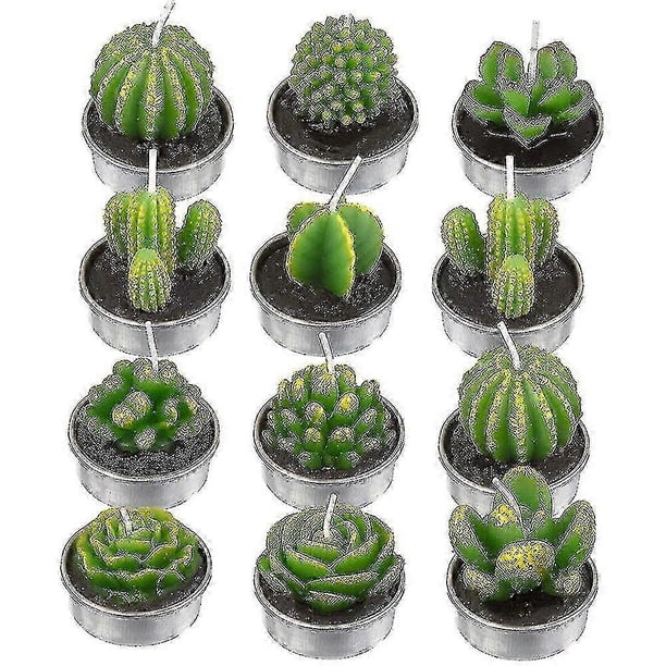 12 velas con forma de cactus, velas artificiales con forma de plantas suculentas, para el Día de San Valentín.
