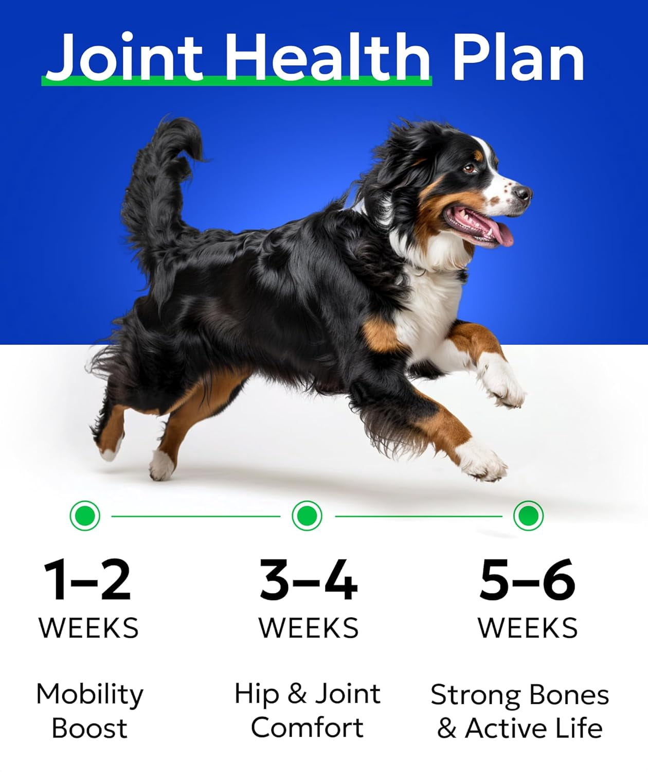 BARK&SPARK Premium Glucosamine Chews for Dogs - Dog Supplements for Hip and Joint with Chondroitin, MSM & Omega-3 Fish Oil - Joint Pain Relief & Large Small Breed - 120 Treats - Chicken - made in USA