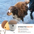 thumbnail image 6 of Dog Toys Leaky Food Ball Interactive Pet Slowly Feeding Bowl Puzzle Toy Pine Cone Dog Teeth Cleaning Chew Toys Pet Supplies (Green), 6 of 7