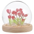 thumbnail image 1 of Miangastore Tulip Shape Plastic 1 Set 3.93x3.93x3.93in, 1 of 8