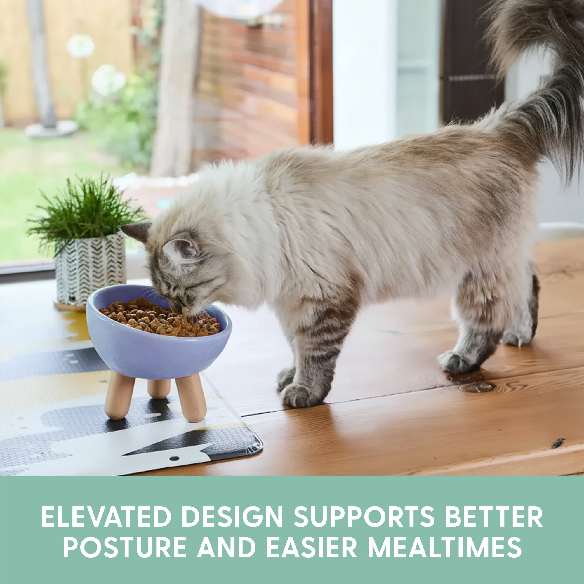 The Cat Ladies Tilted Ceramic Cat Bowl - Elevated Food Bowls Ceramic Pet Bowl - Raised Ceramics Bowls - Elevated & Tilted Design for Comfortable Eating - Blue