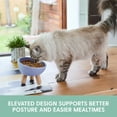 thumbnail image 5 of The Cat Ladies Tilted Ceramic Cat Bowl - Elevated Food Bowls Ceramic Pet Bowl - Raised Ceramics Bowls - Elevated & Tilted Design for Comfortable Eating - Blue, 5 of 6