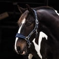 thumbnail image 4 of Rambo Padded Halter, Navy (Burgundy/Dusty Blue Trim), Size: Cob, 4 of 4