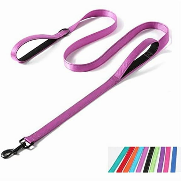 1997 Reflective Nylon Dog Leash Heavy Duty, Two Handles with Padded for Extra Control Outside Durable Training Lead for Small Medium Large Breed Pet Dogs, 4ft Long 1-inch Width, Purple